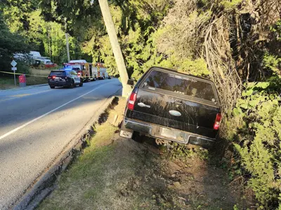 A black pickup truck off the side of the road on the grass in the trees
